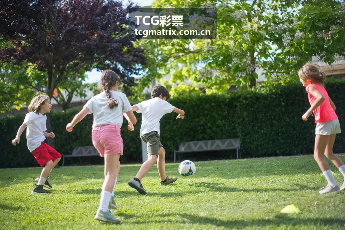 TCG彩票大乐透跨度筛选案例